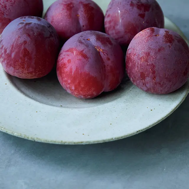 「童夢」貴陽（山梨）