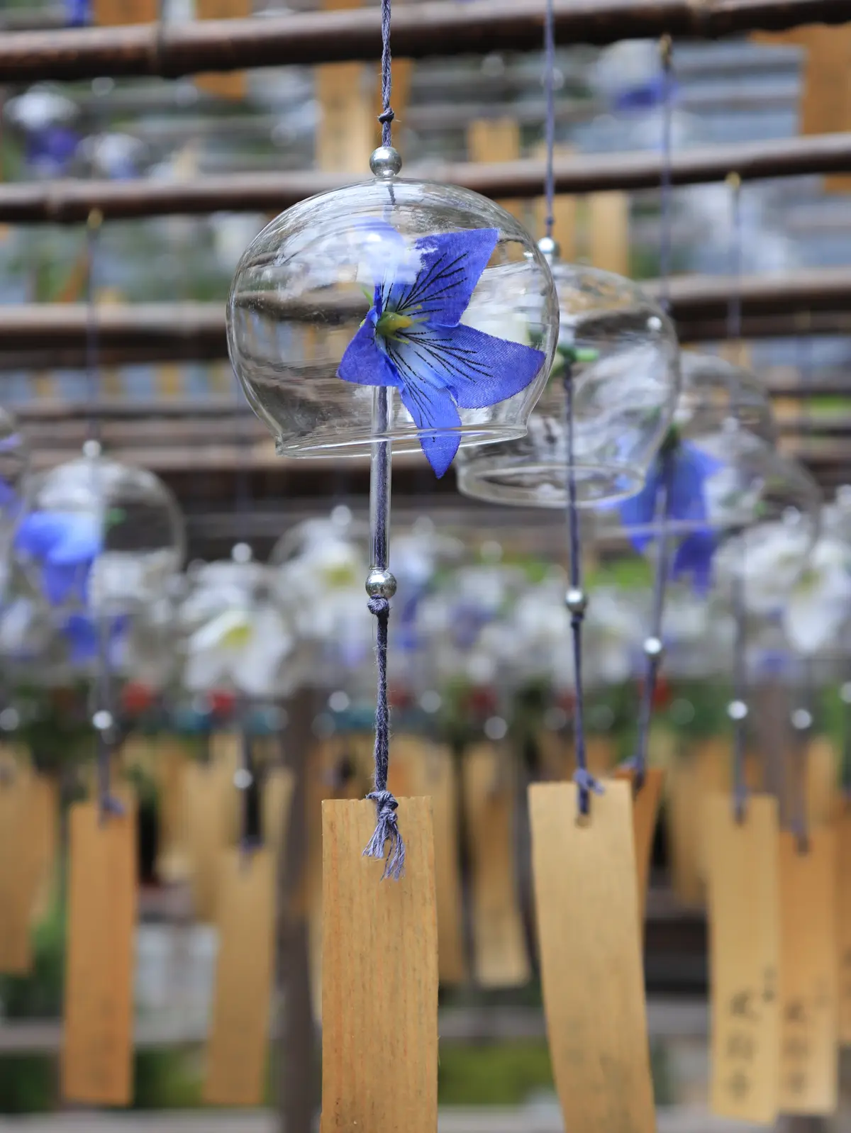 正寿院 風鈴まつり　京都　風鈴寺  宇治