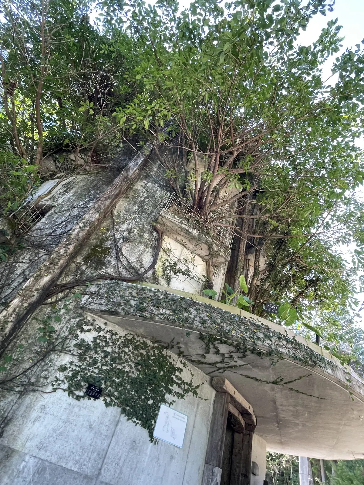 お正月のデニムスタイルはバレルレッグで決の画像_14