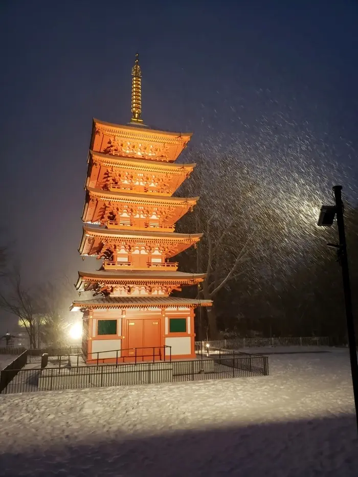 ノープランでも楽しめた♪極寒の草津温泉旅の画像_8