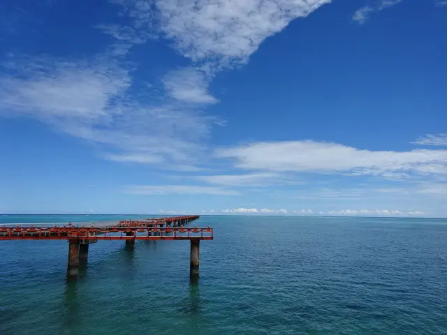 オープンしたばかりの絶景ホテルから念願のの画像_9