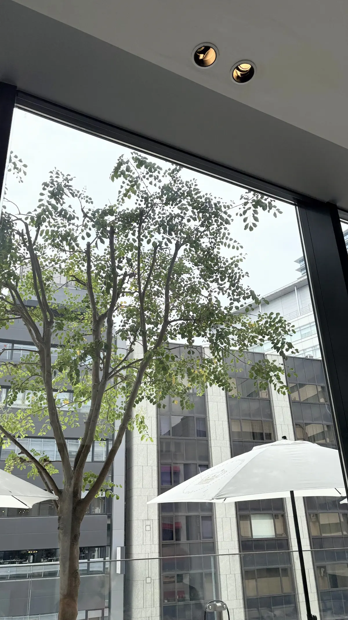 50代しまむらシャツコーデ@マーサブランの画像_3