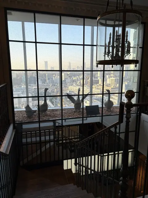 ソワレ・ドゥ・エクラへ向かう、特別な一日の画像_1