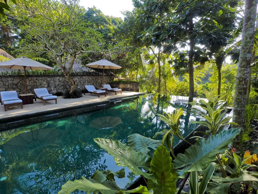 バリ　アートを楽しむ午後 コマネカ アッの画像_2