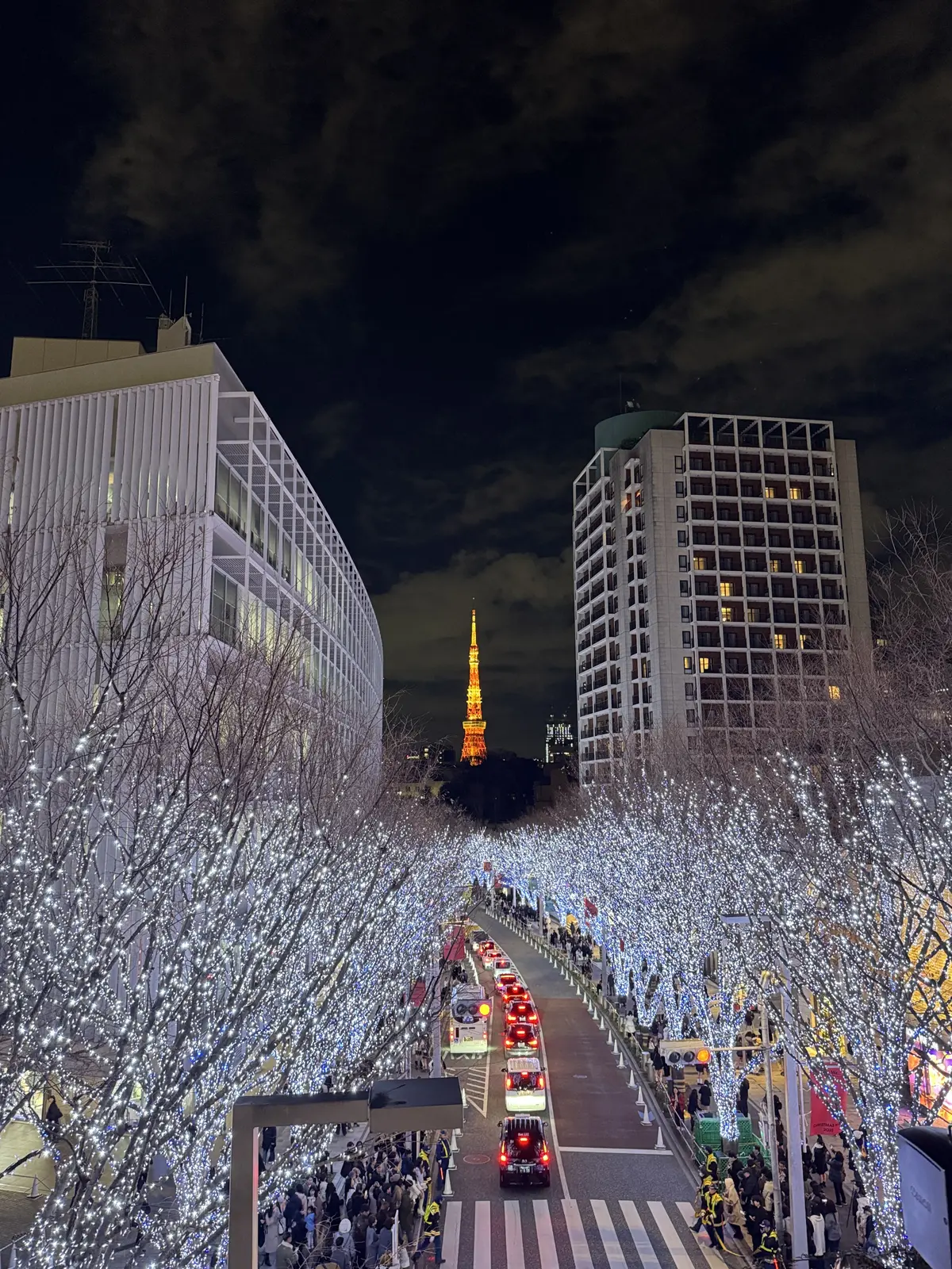 この冬見たい、心に残る東京イルミネーショの画像_1