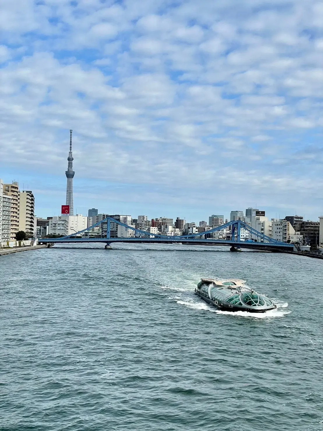 清澄白河　水天宮　隅田川景色　スカイツリー