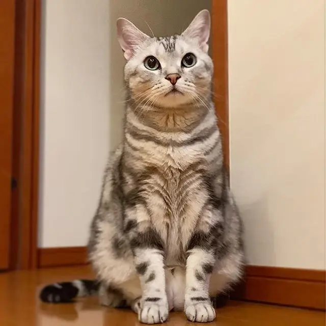 いい子だね♪の画像_1