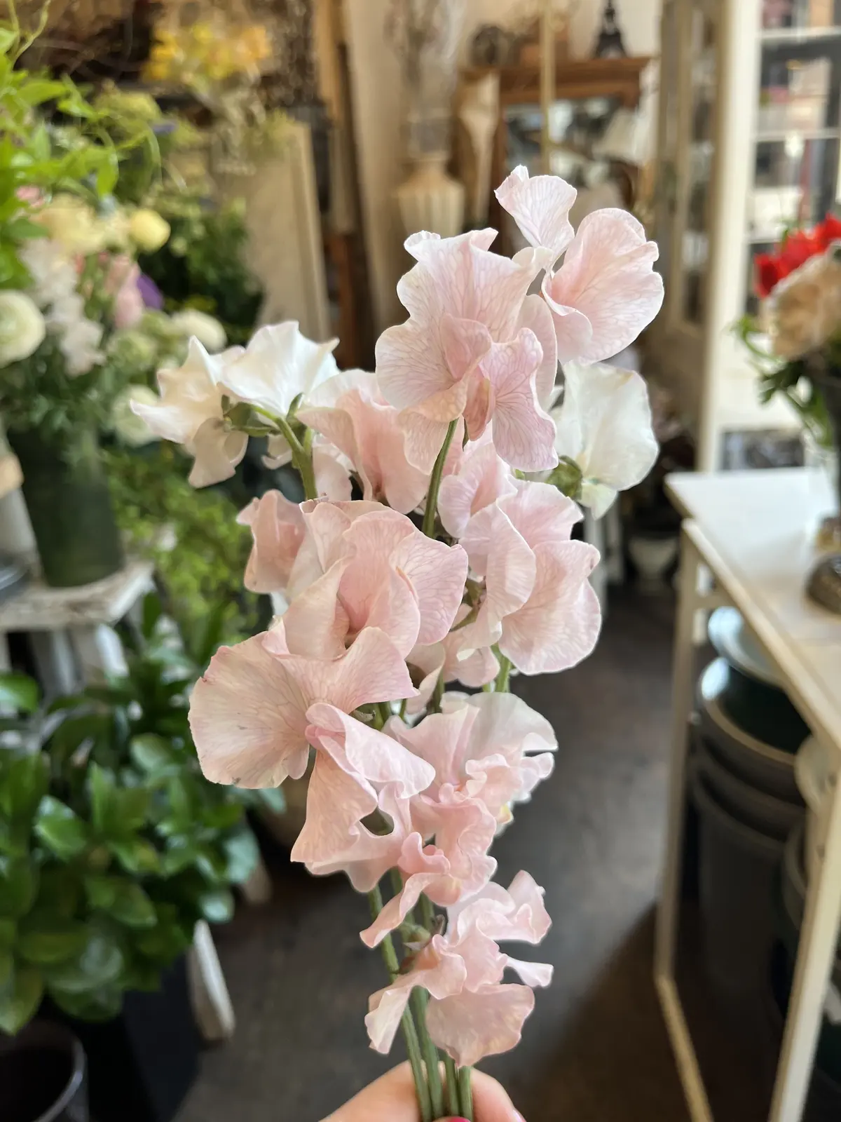 リクエストは〝桜と蘭〟の画像_8