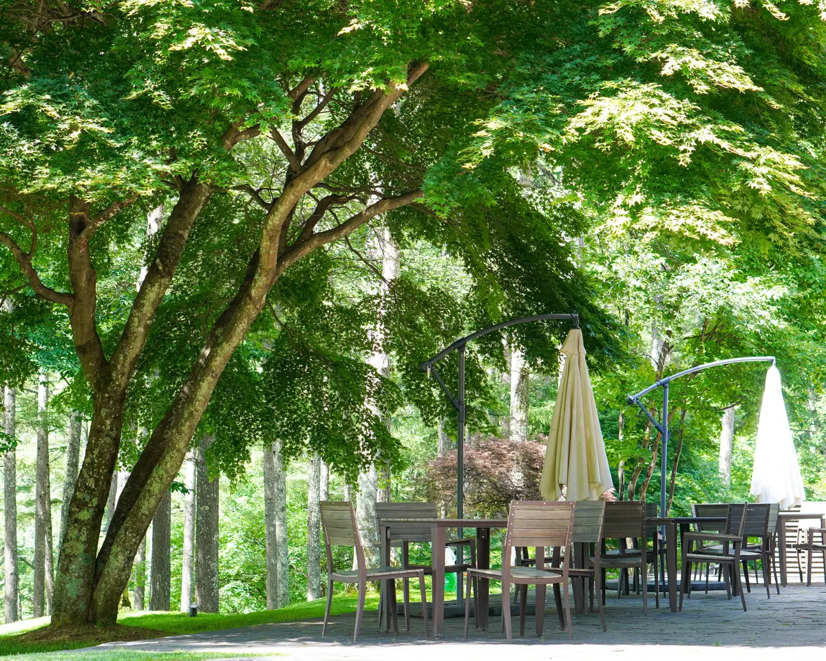 旅の着回しの画像_8