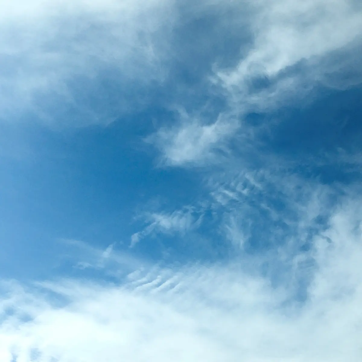 止水栓を思う秋。の画像_1