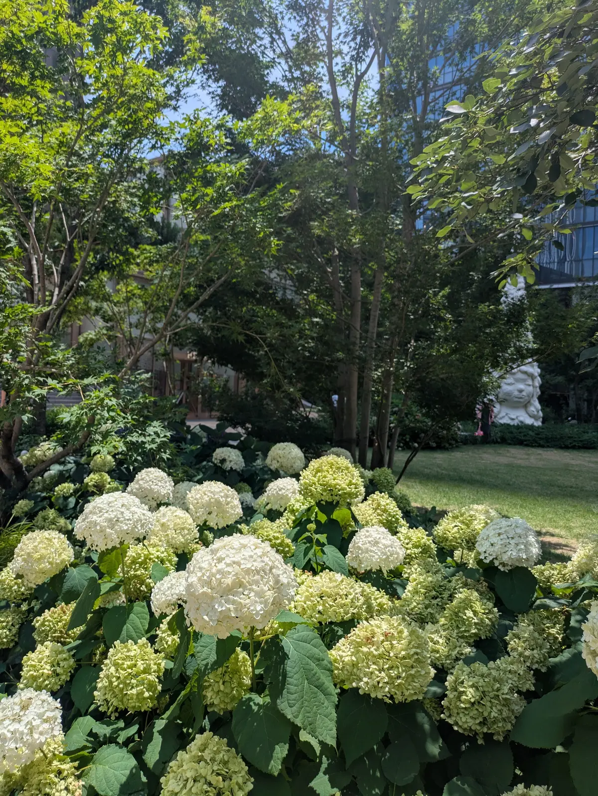 カジュアルを格上げ！レアな柄の【LEONの画像_6