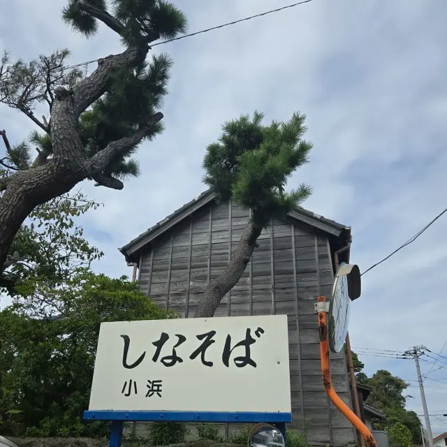 しなそば 小浜