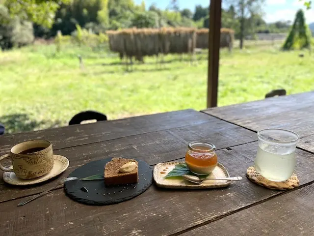 ゆっくりと時間が流れる癒やしのカフェへ♡の画像_5