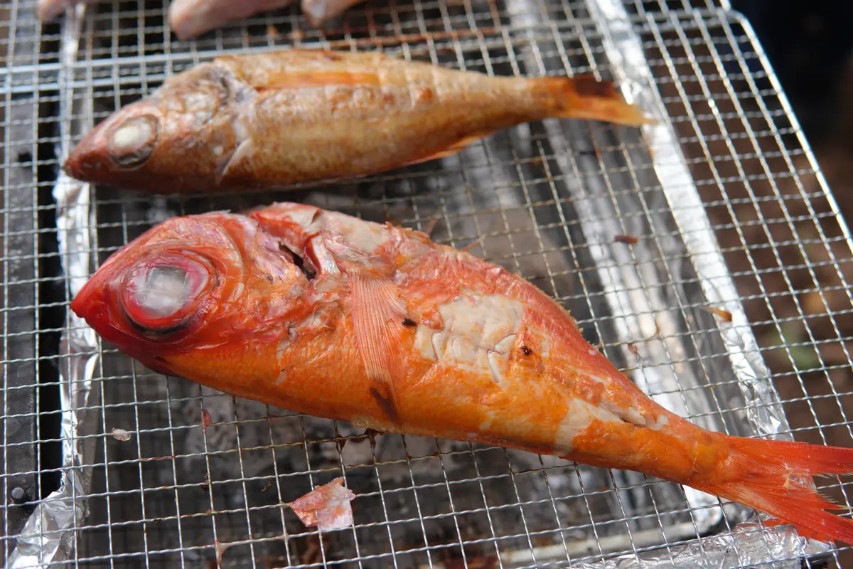金目鯛とノドグロ