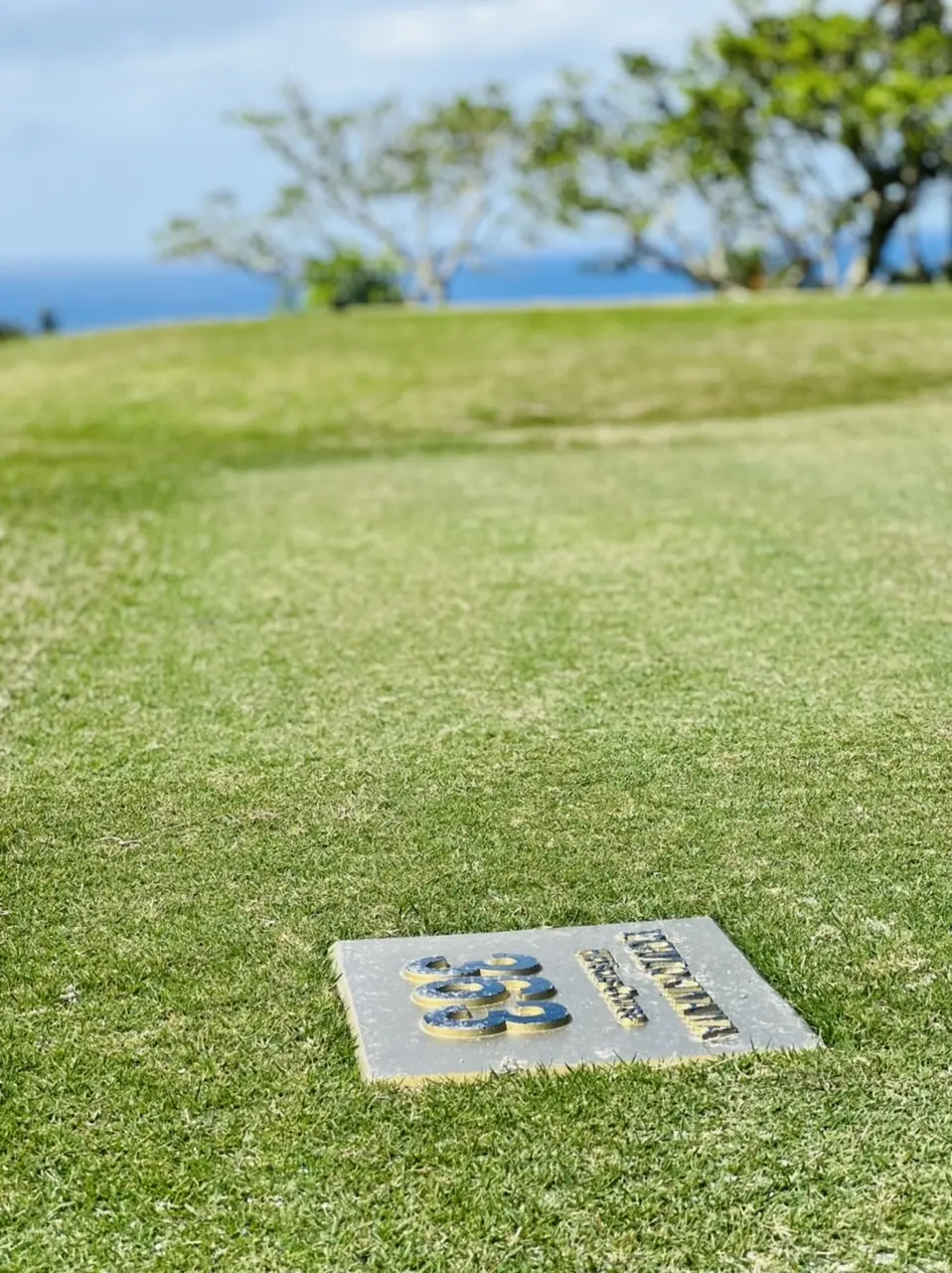 ゴールドプレートがカッコイイ！