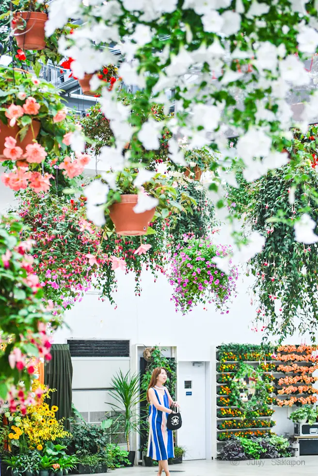 まさかの楽園?‼︎Starbucks☆はの画像_4