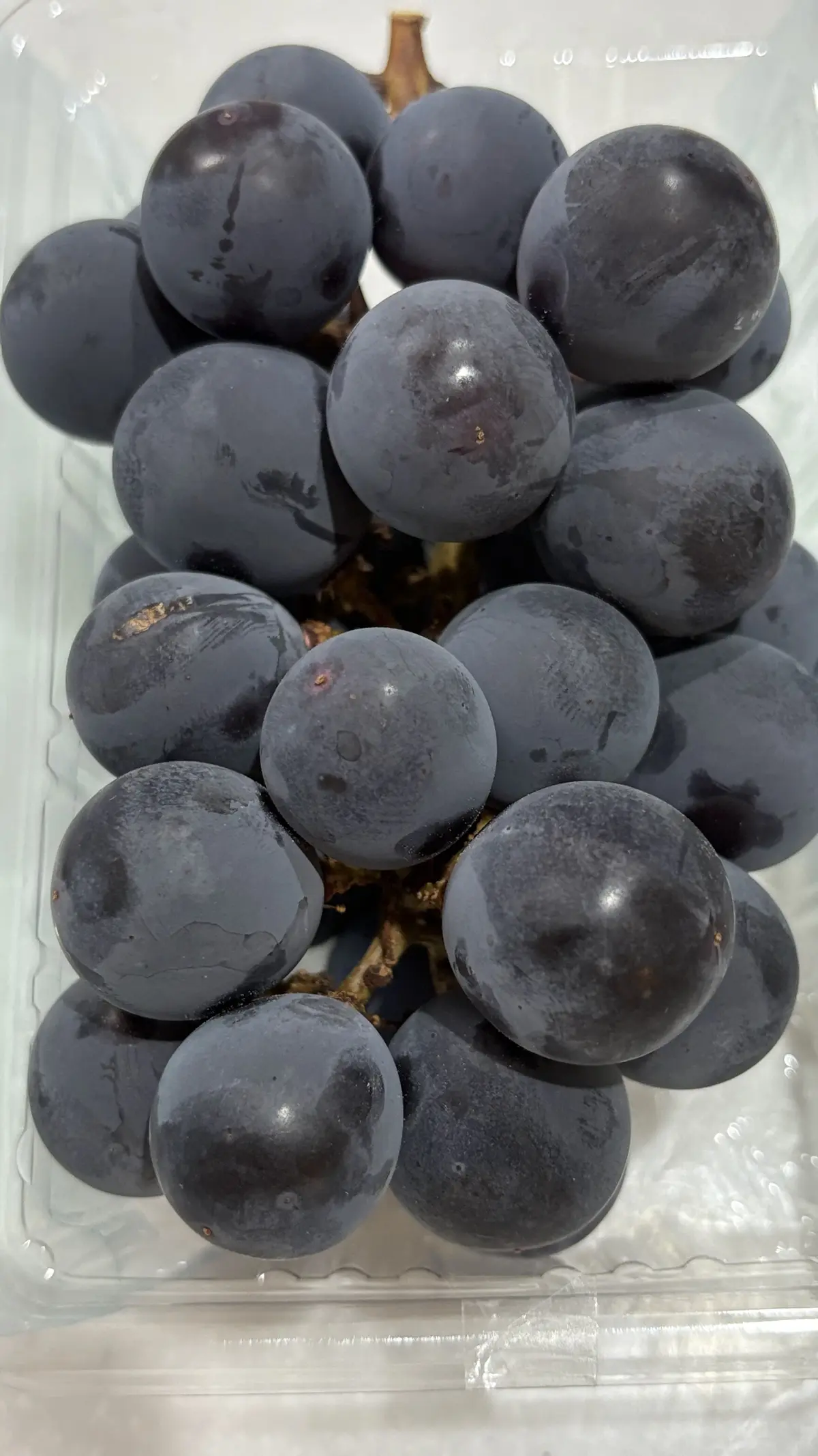 ブドウ　巨峰　果物大好き　