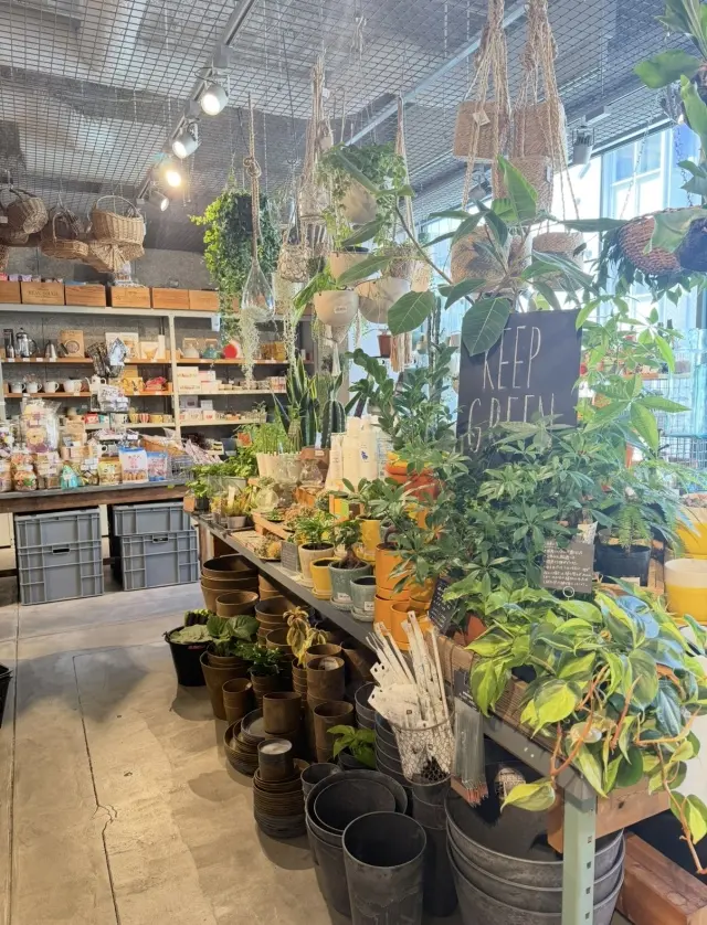 夏、大好きなブラックワンピースで毎日がスの画像_9