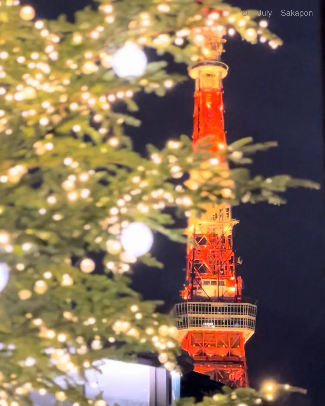 【プチギフト】自宅でChristmasラの画像_4