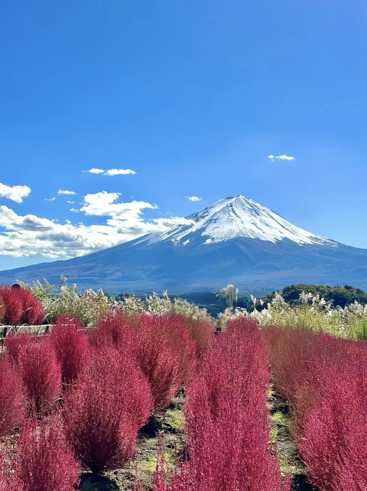 静かな時間と秋の景色を楽しむ河口湖の旅の画像_1