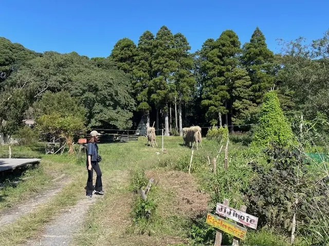 ゆっくりと時間が流れる癒やしのカフェへ♡の画像_8