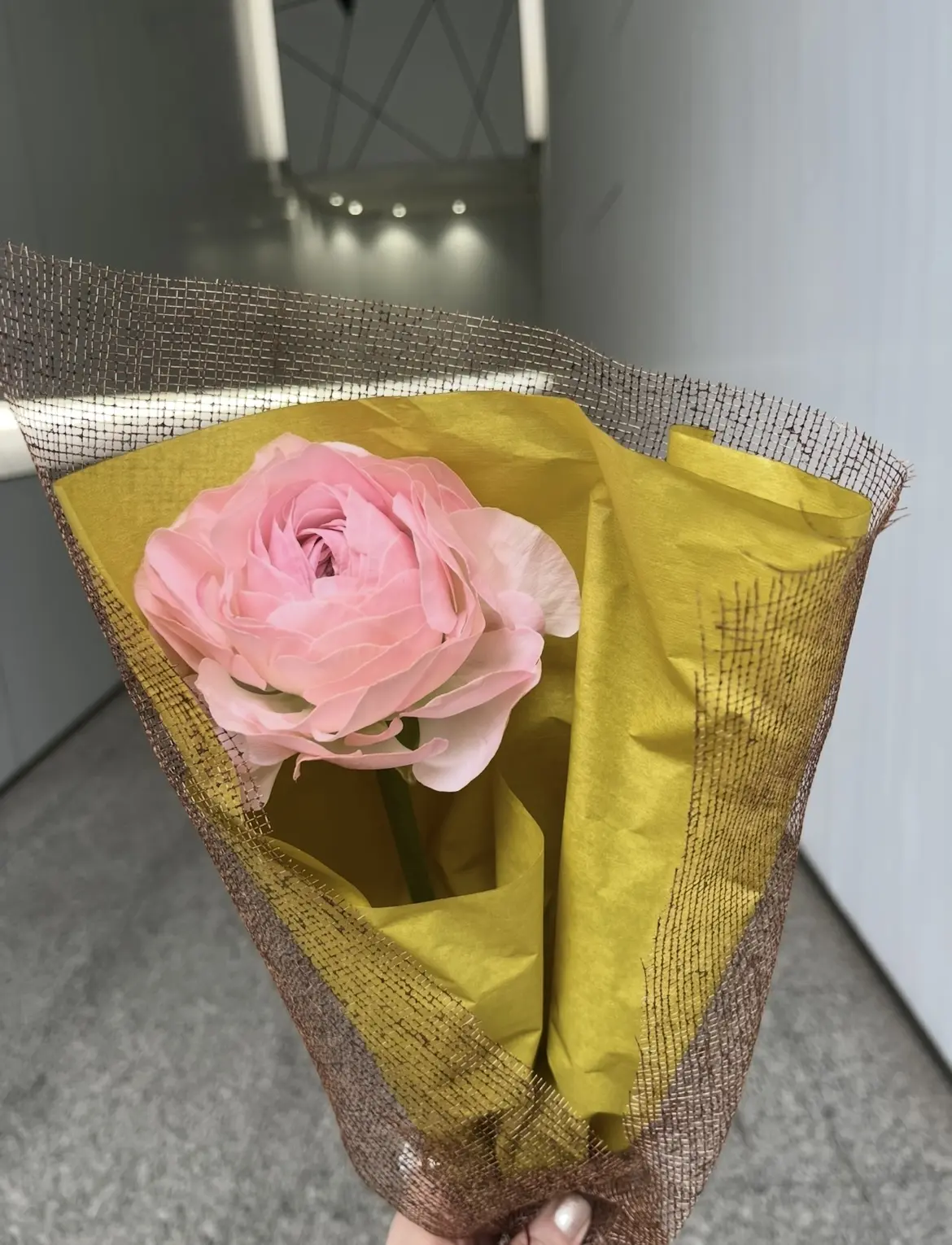 花屋で写真館の画像_14