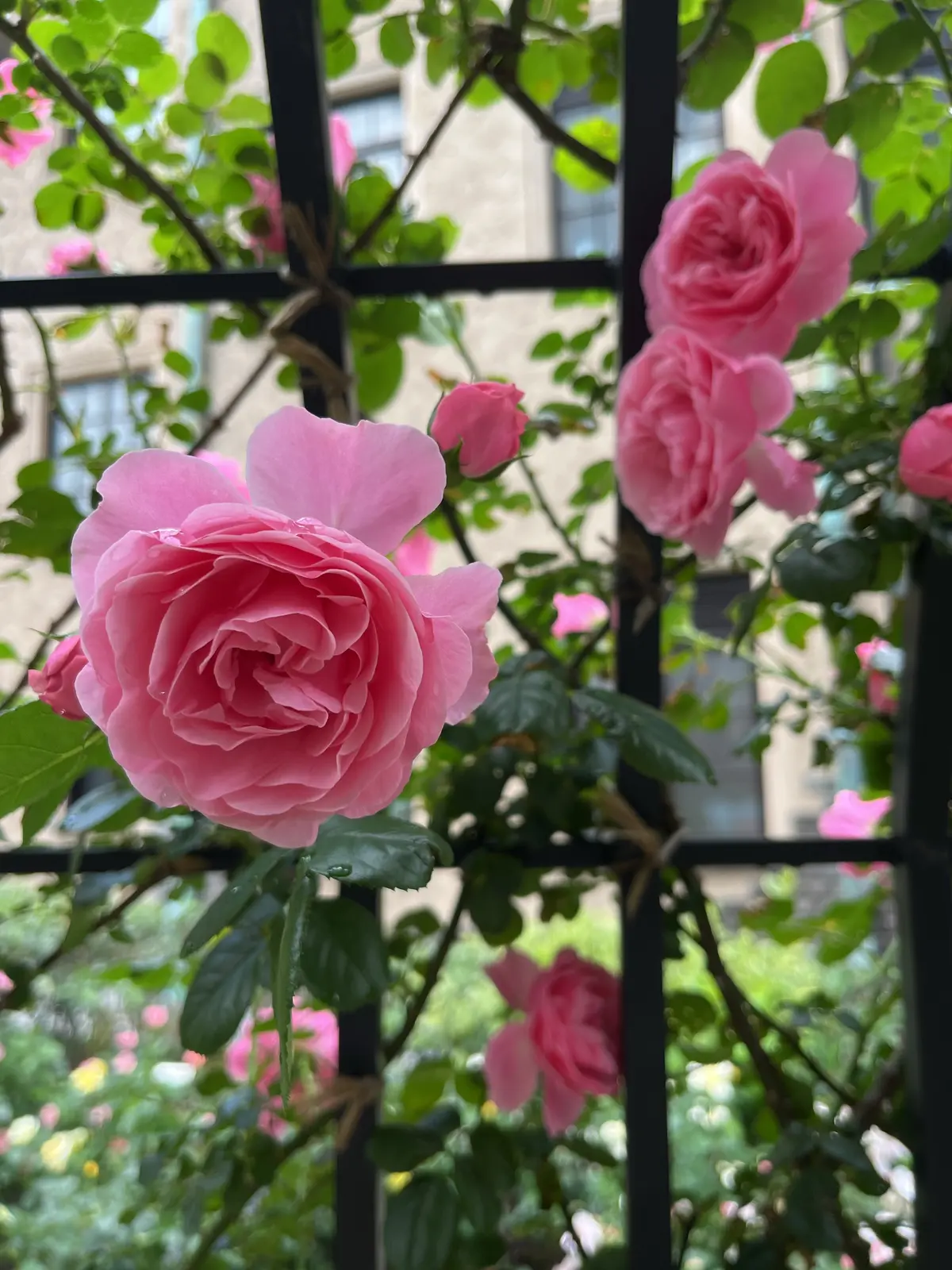 1人時間を楽しむ。銀座＆紀尾井町編その②の画像_12