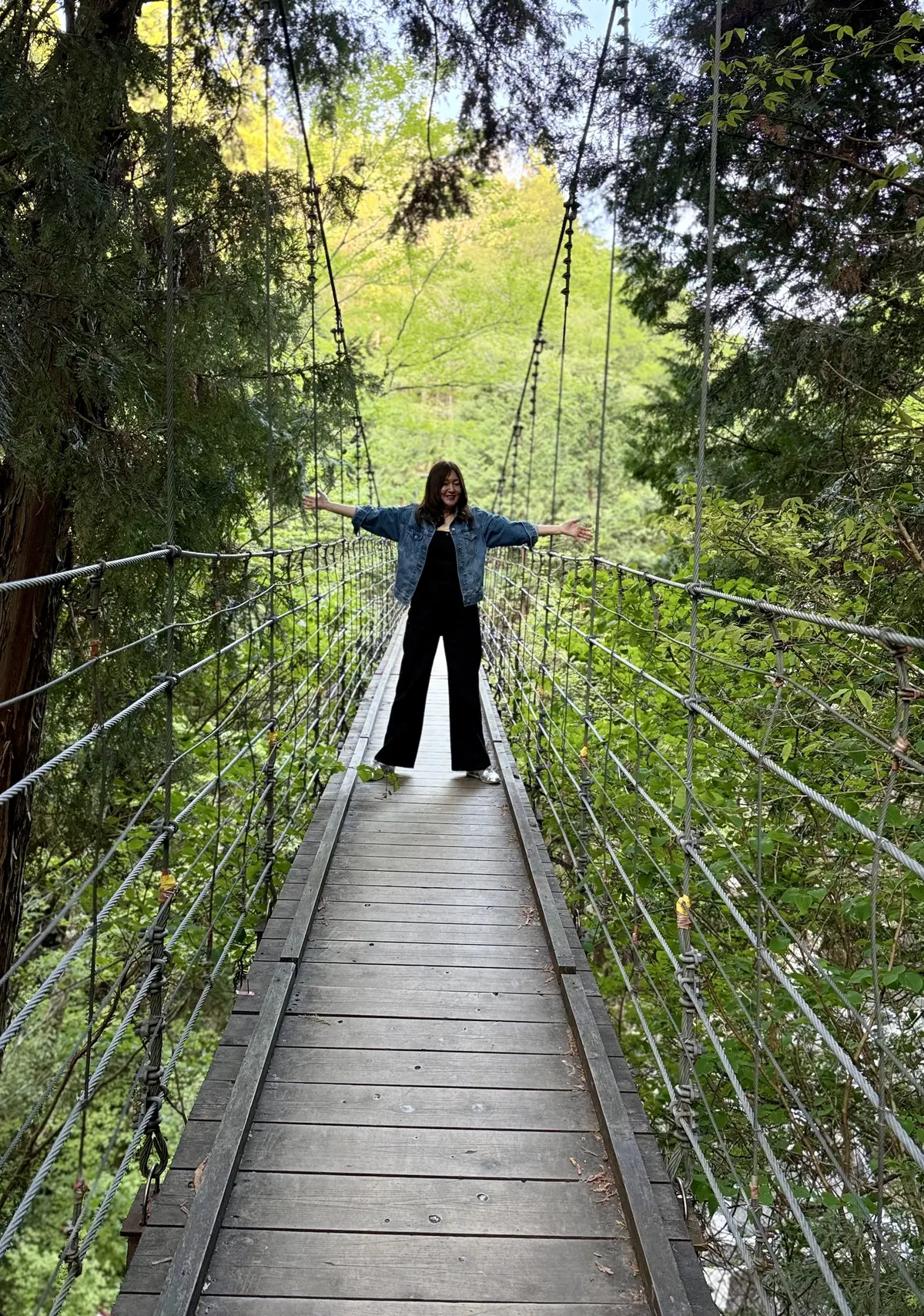 岐阜・付知峡の観音滝と新緑の風景と吊り橋