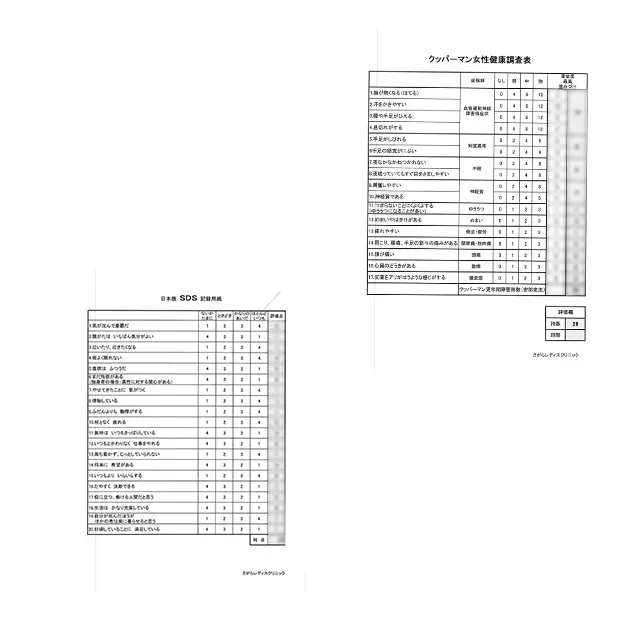 悩んでいる人必見！更年期障害の治療法「Hの画像_9