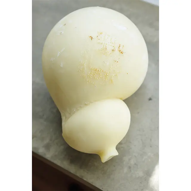 チョコラートのパニーニ