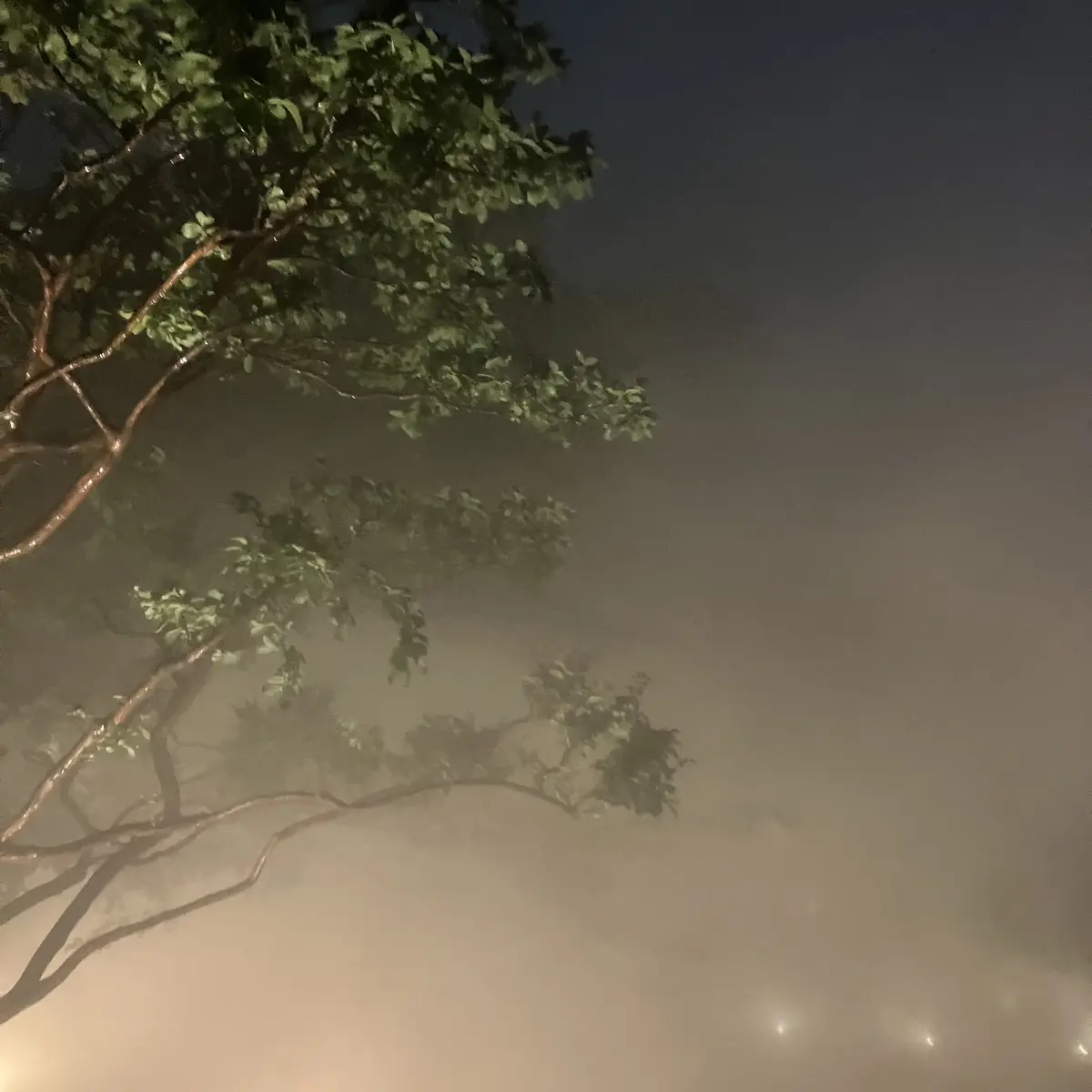 70周年を迎える初夏の風物詩、ホテル椿山の画像_6