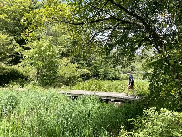 軽井沢、雲場池の橋