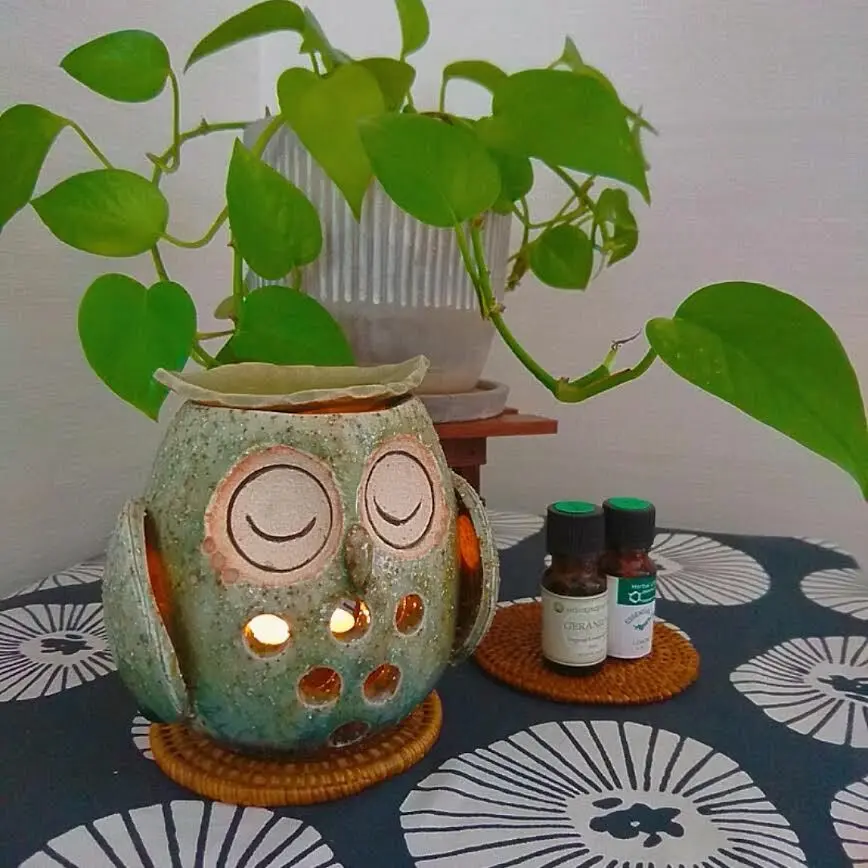 生活の中に気軽に精油を取り入れて天然の香の画像_3