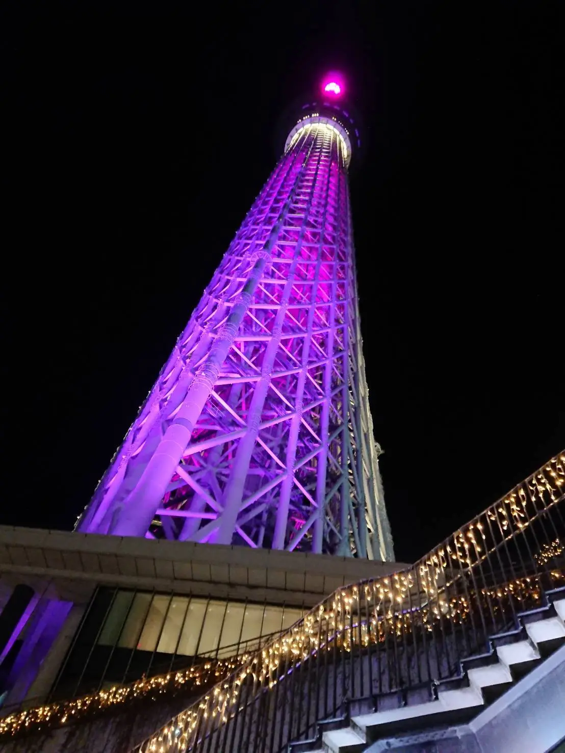 夜のスカイツリーを見上げて