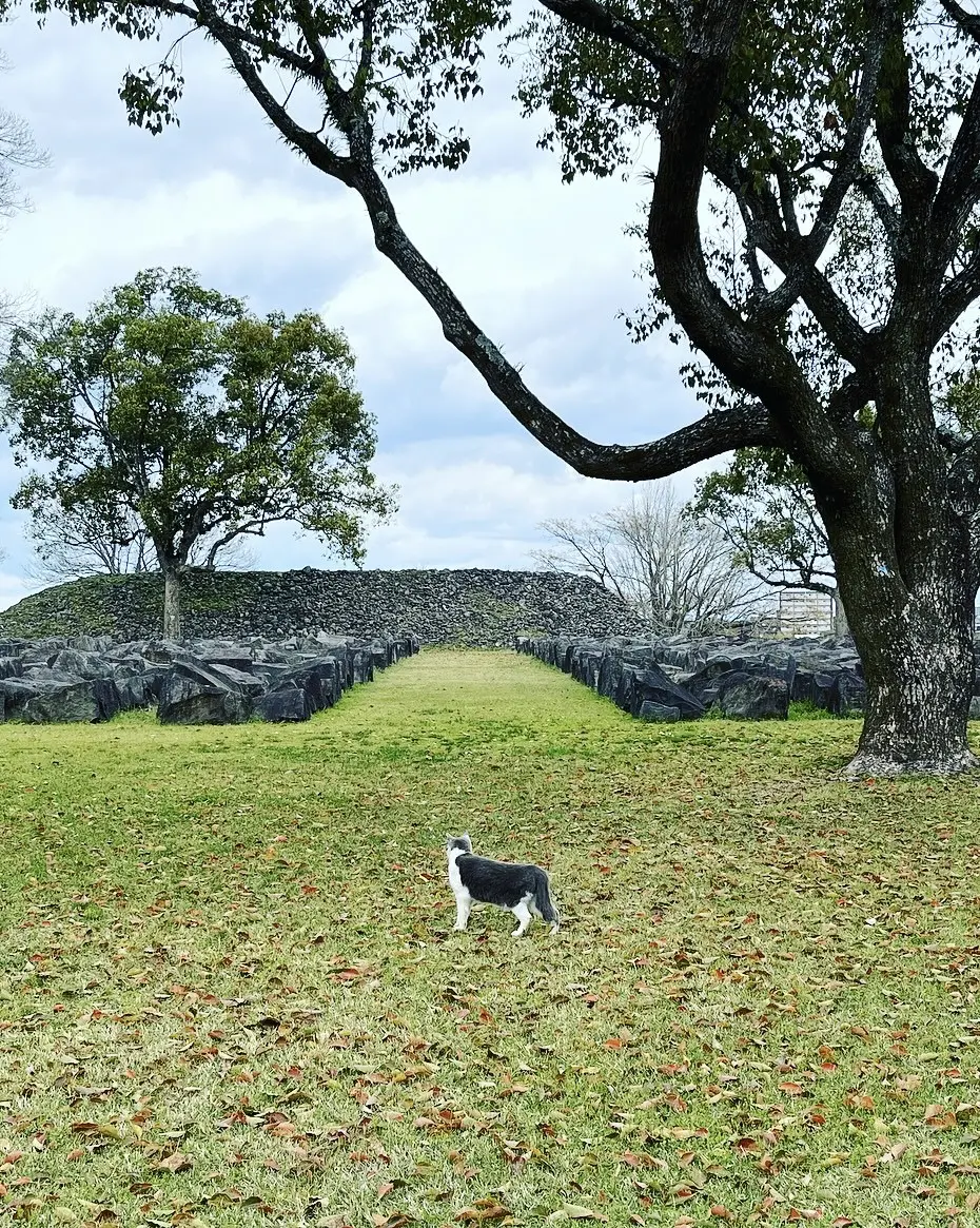 熊本・阿蘇の旅〜2着のワンピースの画像_13