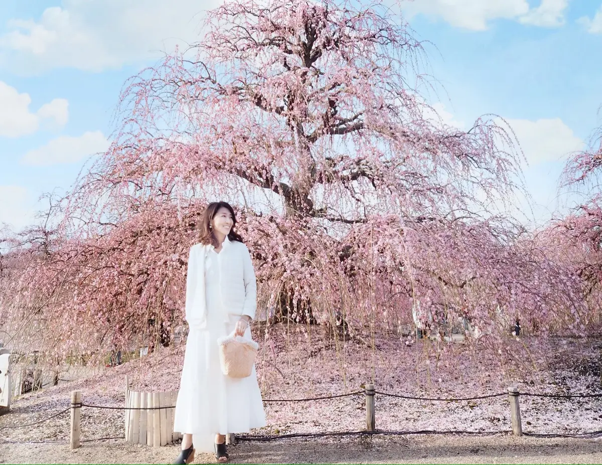 春の新作ZARAワンピで、バンクシーっての画像_13