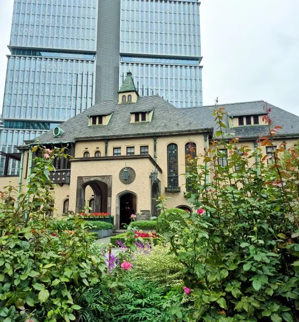 秋バラを求めて🌹Jマダムの「花友」とクラの画像_1