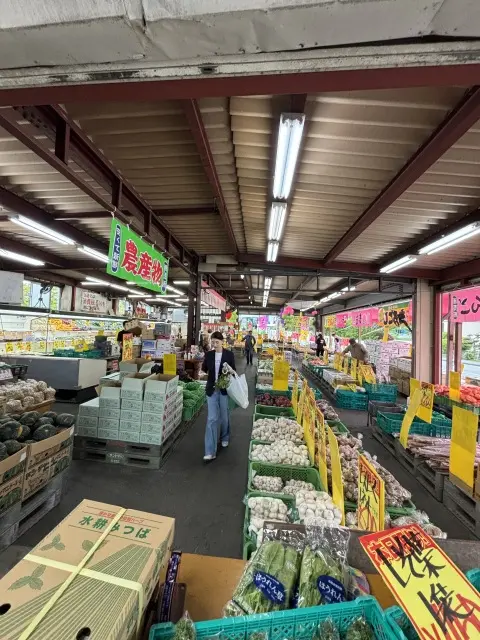 日本三大金運神社への画像_12