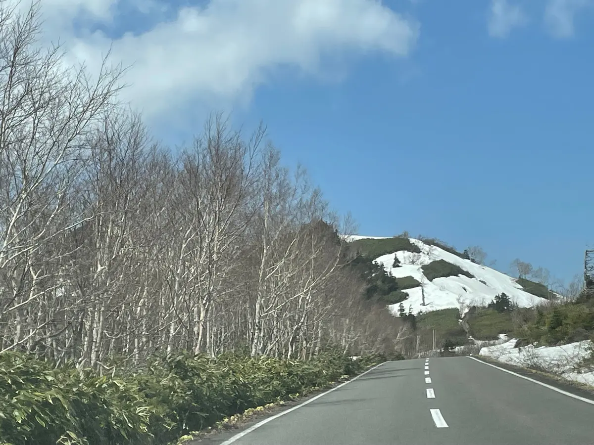八幡平アスピーテライン　