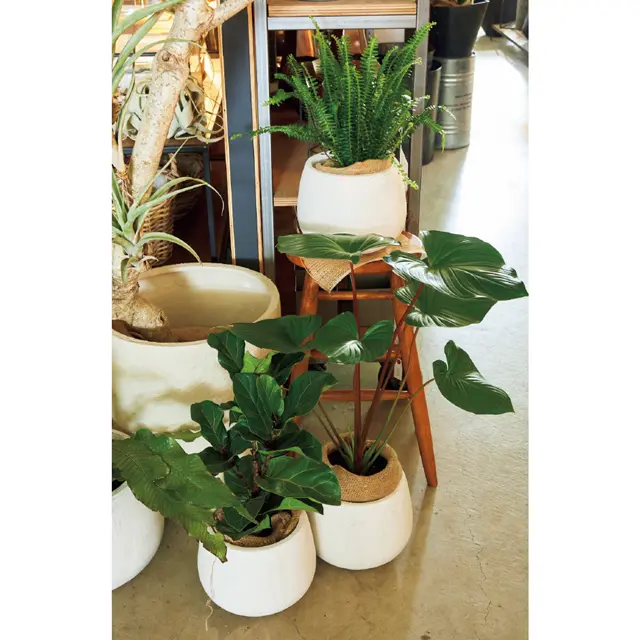 花台になりそうな家具などもそろう。