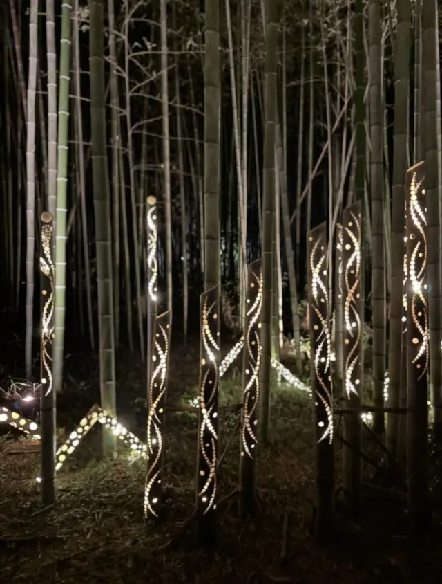 京都「嵐山月灯路」の幻想的な世界への画像_11