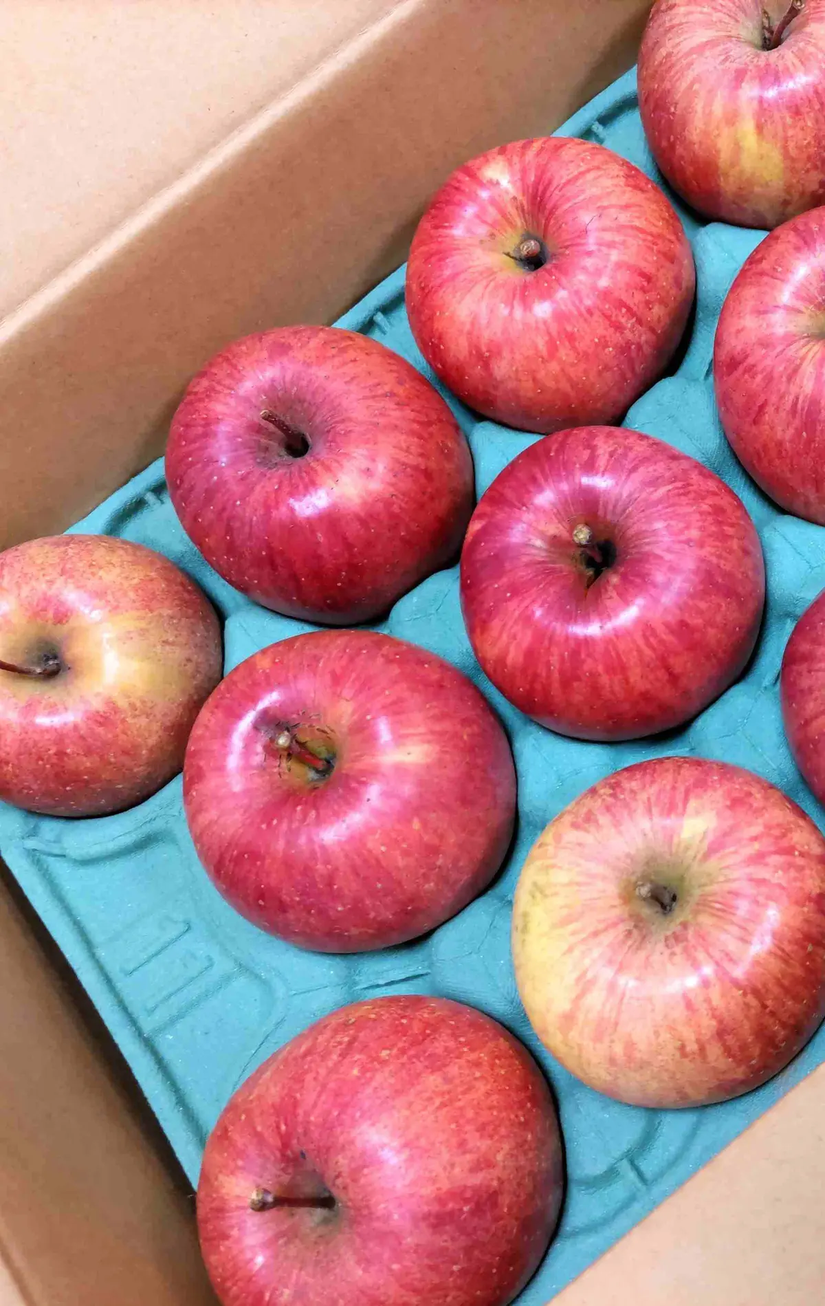 『外崎りんご園』の画像_1