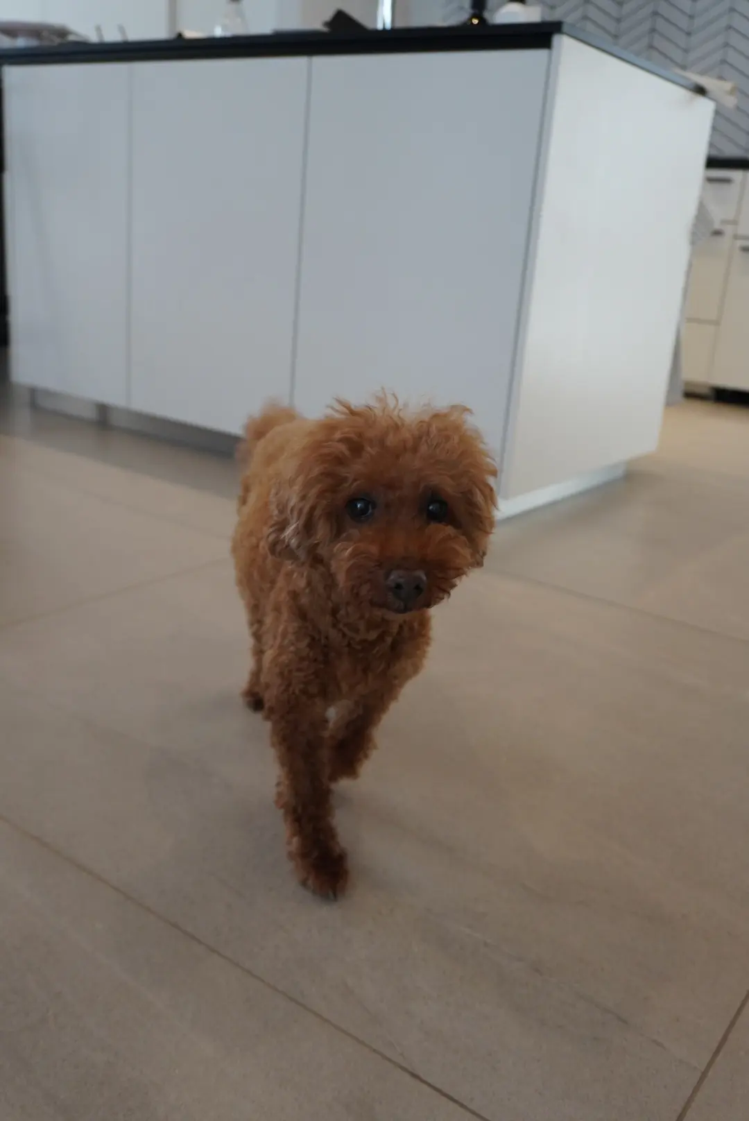 憧れのお宅訪問!!夢のような素敵空間で、の画像_13