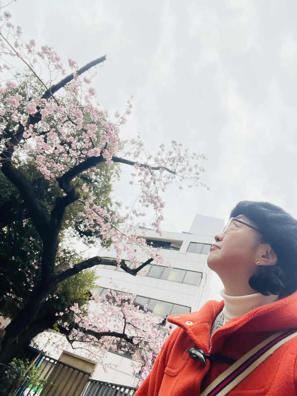 「山本 容子 版画展」～村上春樹ライブラの画像_9