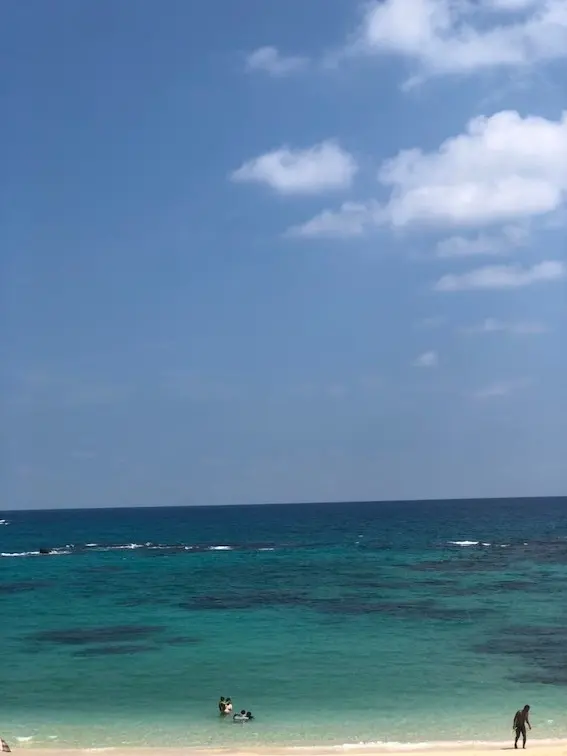 夏の終わりに奄美大島へ行ってきましたの画像_3