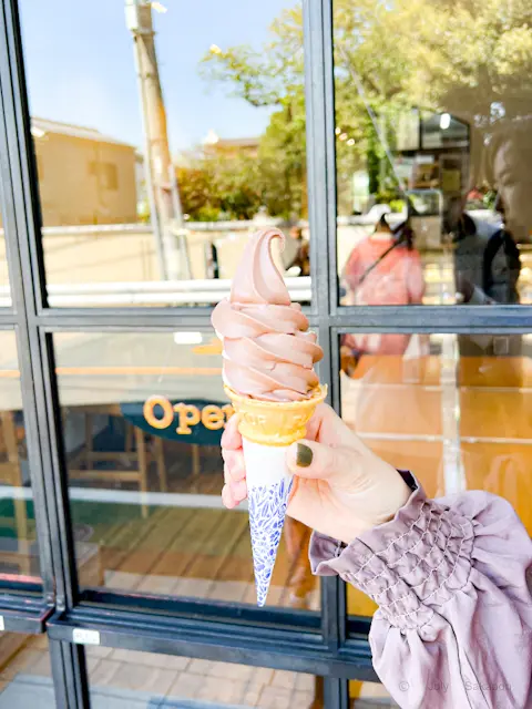 【さかぽんの冒険】下町ぶらり旅@根津神社の画像_4