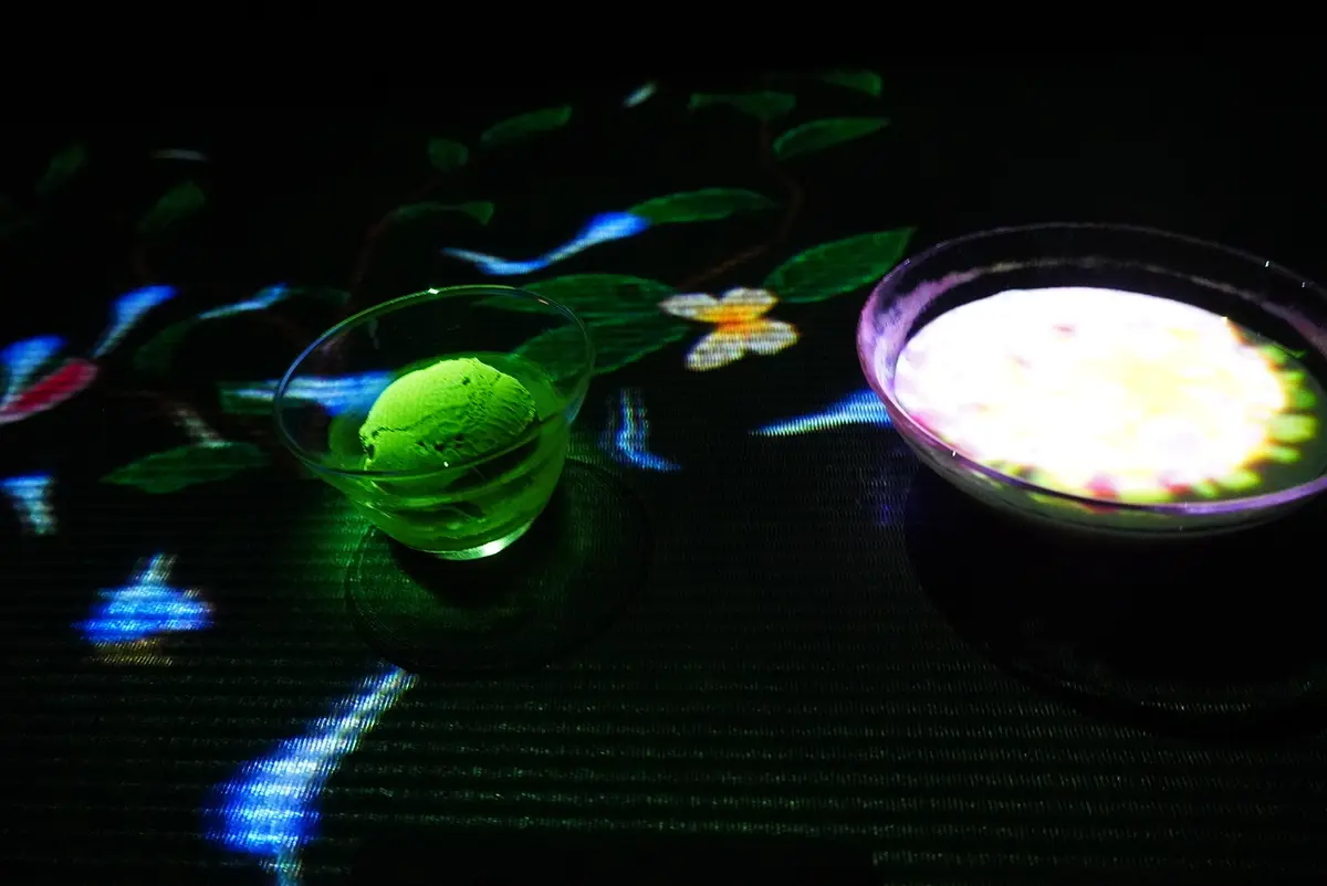 チームラボボーダレス①の画像_5