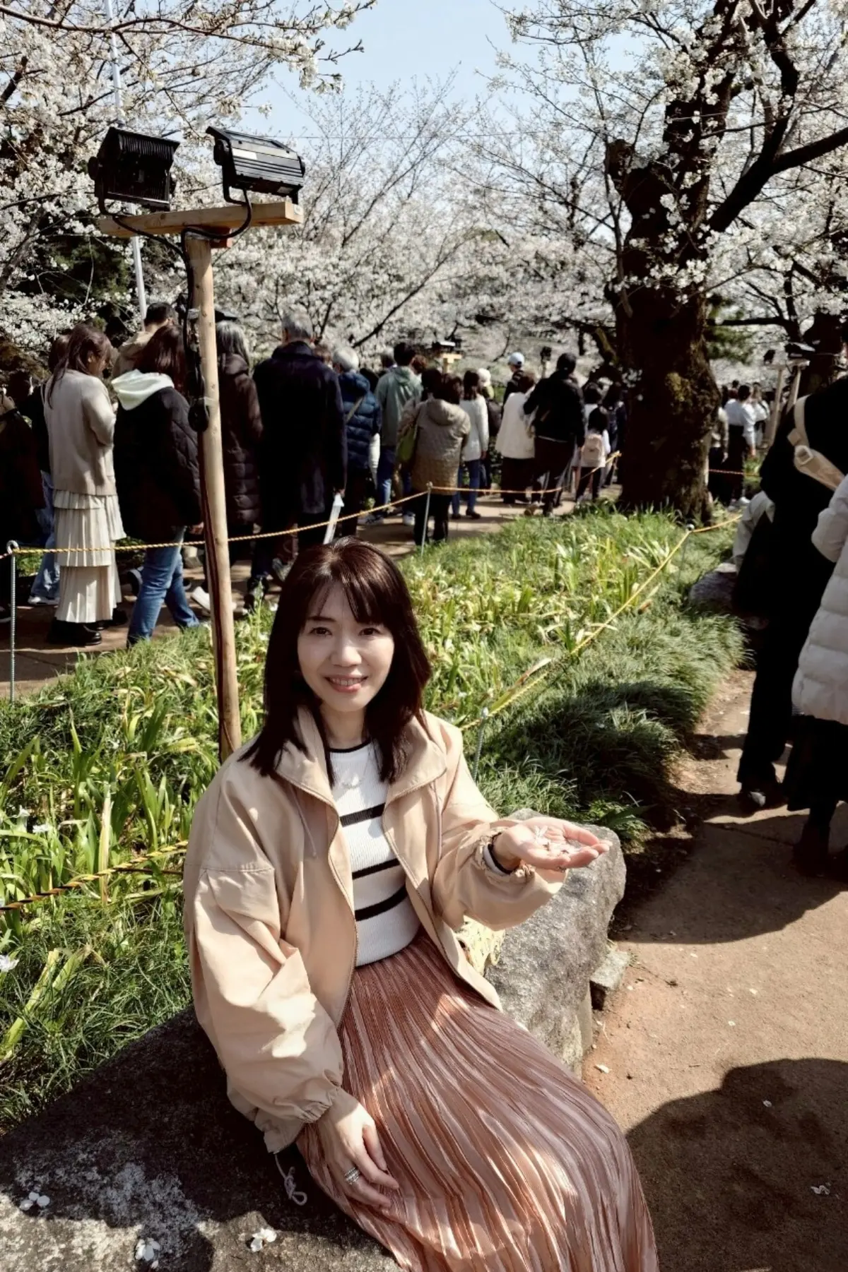 千代田のさくらまつり