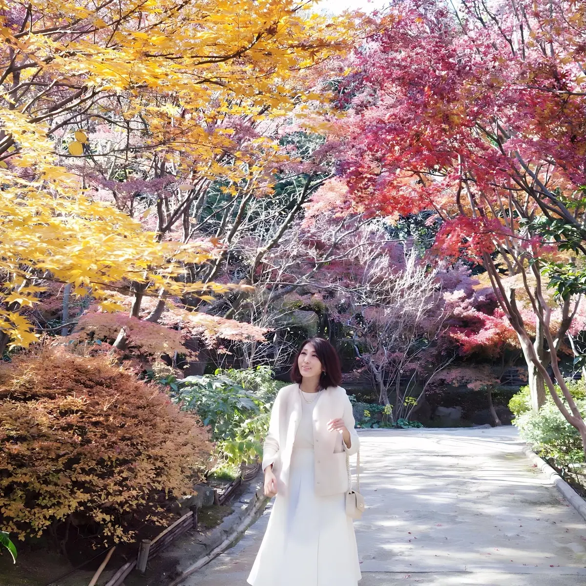 白鳥庭園の紅葉