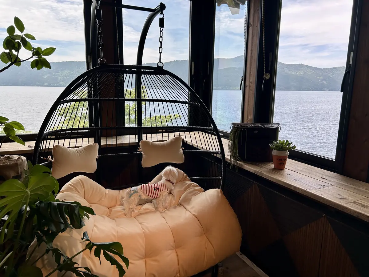 生まれ変わった山のホテル別館へ♪の画像_8